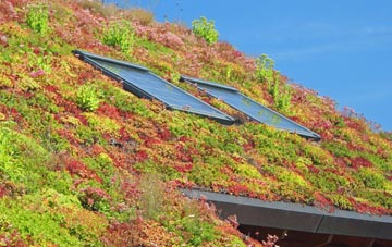 Frost Row living roof systems